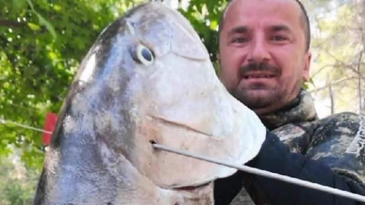 Tatilde zıpkınla 35 kiloluk balık yakaladı
