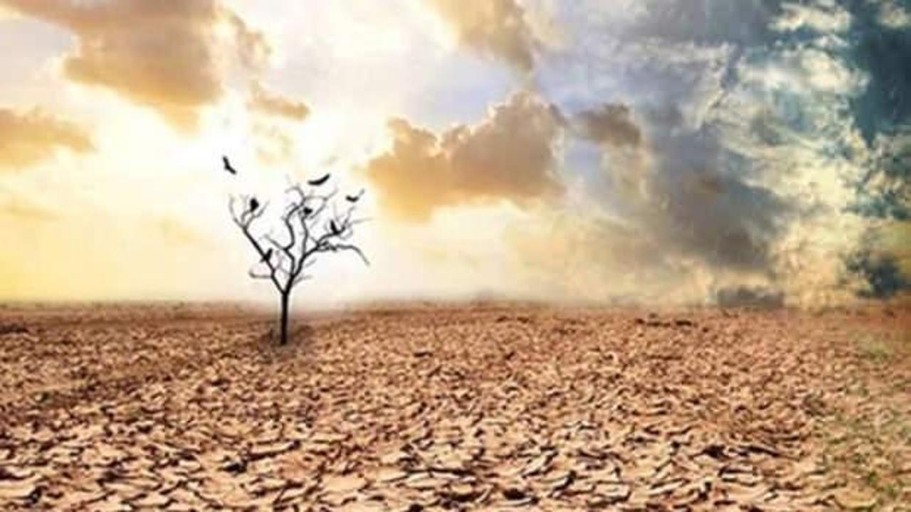 TÜSİAD Yeni İklim Rejimi Raporu'nu 21 Eylül'de duyuracak