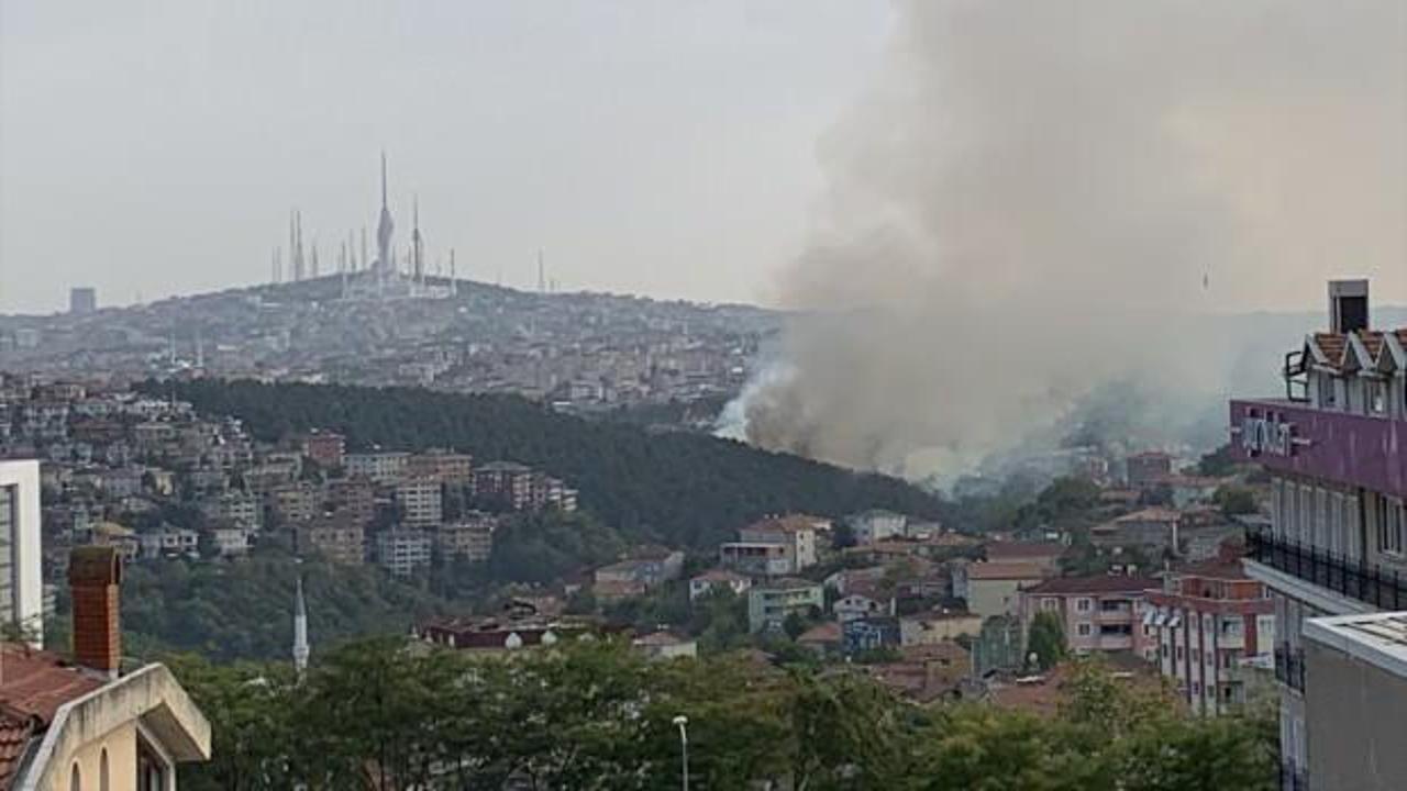 Beykoz'daki orman yangını kontrol altına alındı