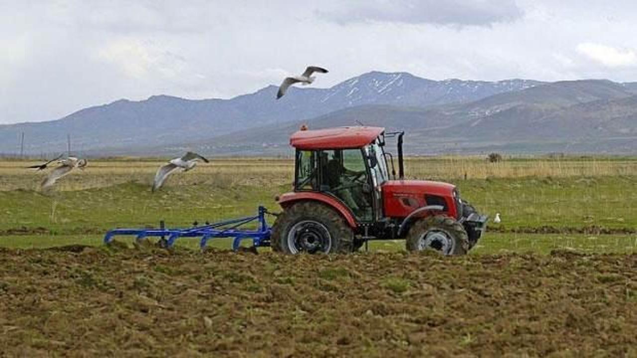Çiftçilerin kullanımına sunulan Hazine'ye ait arazilerde hasat heyecanı