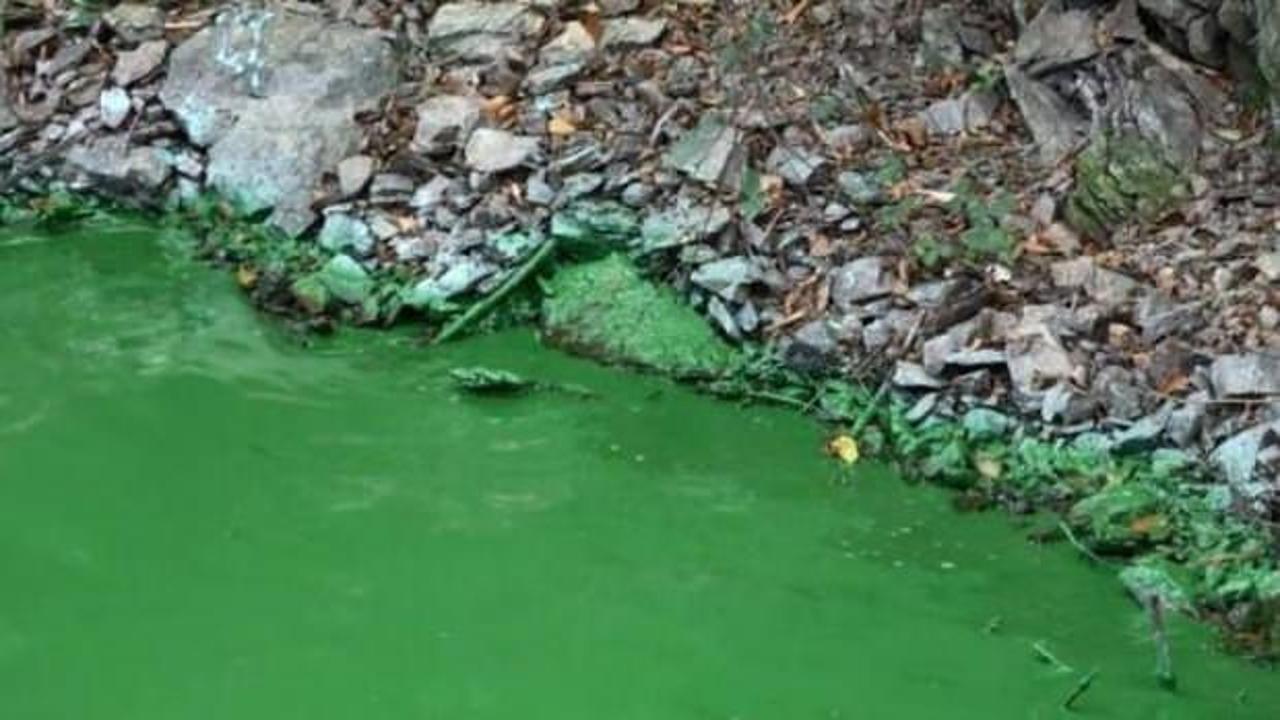 Eyüpsultan'da tepki çeken görüntü: Göle kimyasal atık boşaltıldı