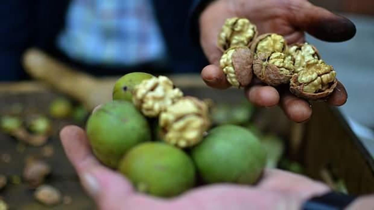 Rekolte düştü, kalite ve fiyat arttı