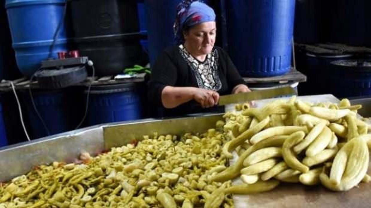70 yıldır turşu yapıyorlar