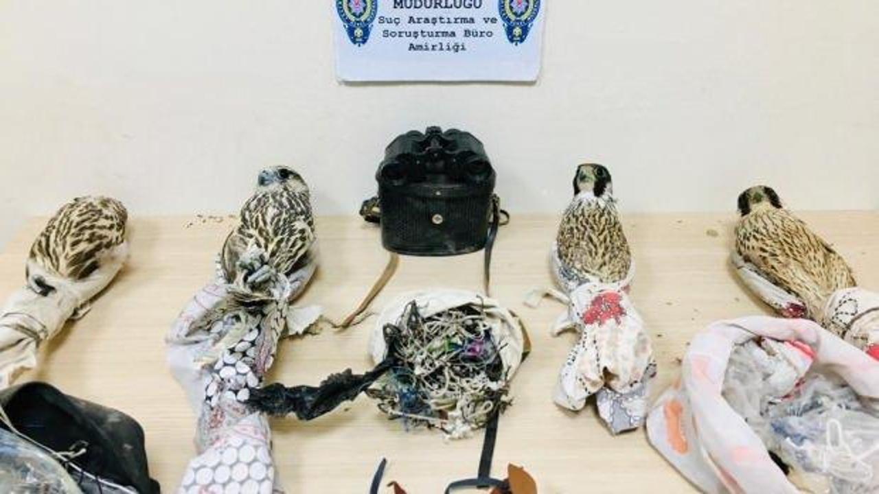 Su&ccedil;&uuml;st&uuml; yakalandılar, 176 bin lira ceza yediler