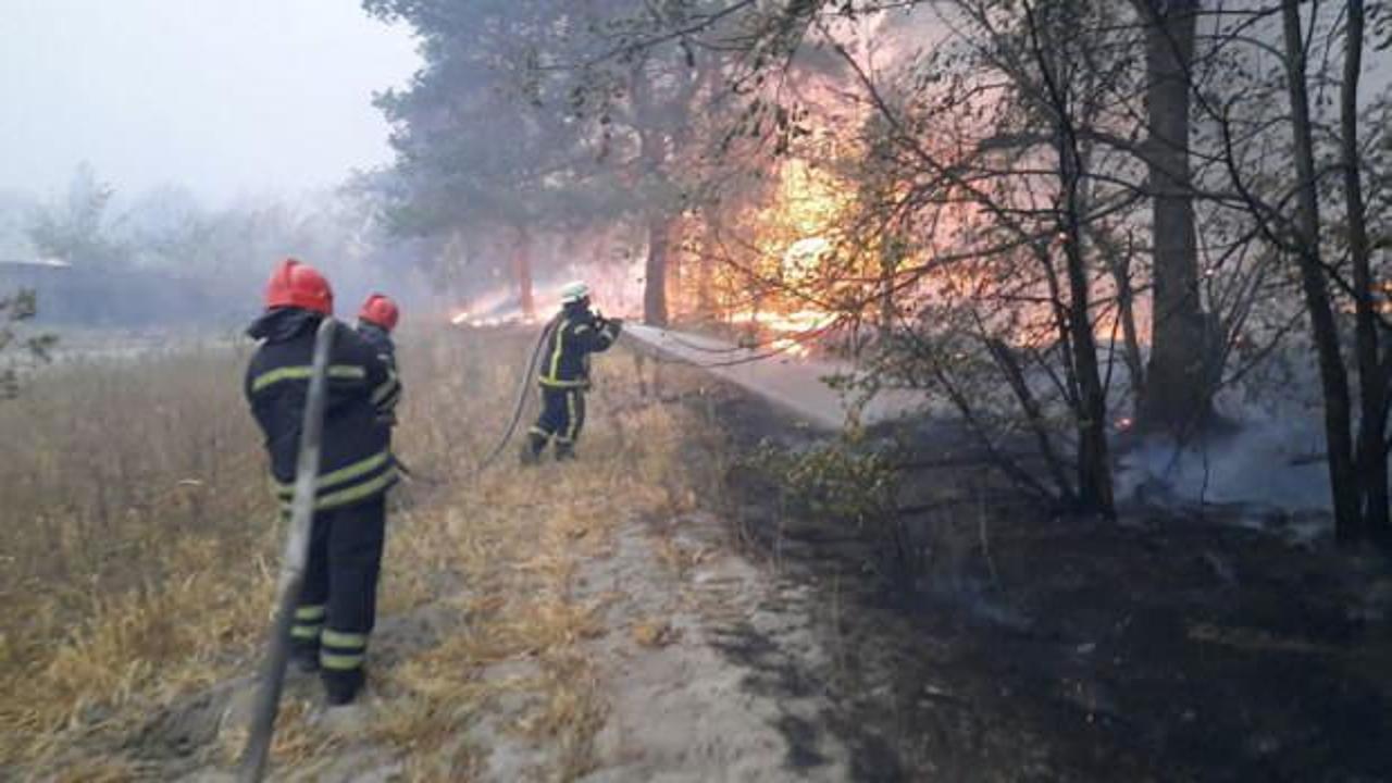 Ukrayna'nın doğusundaki orman yangınlarında 11 kişi öldü