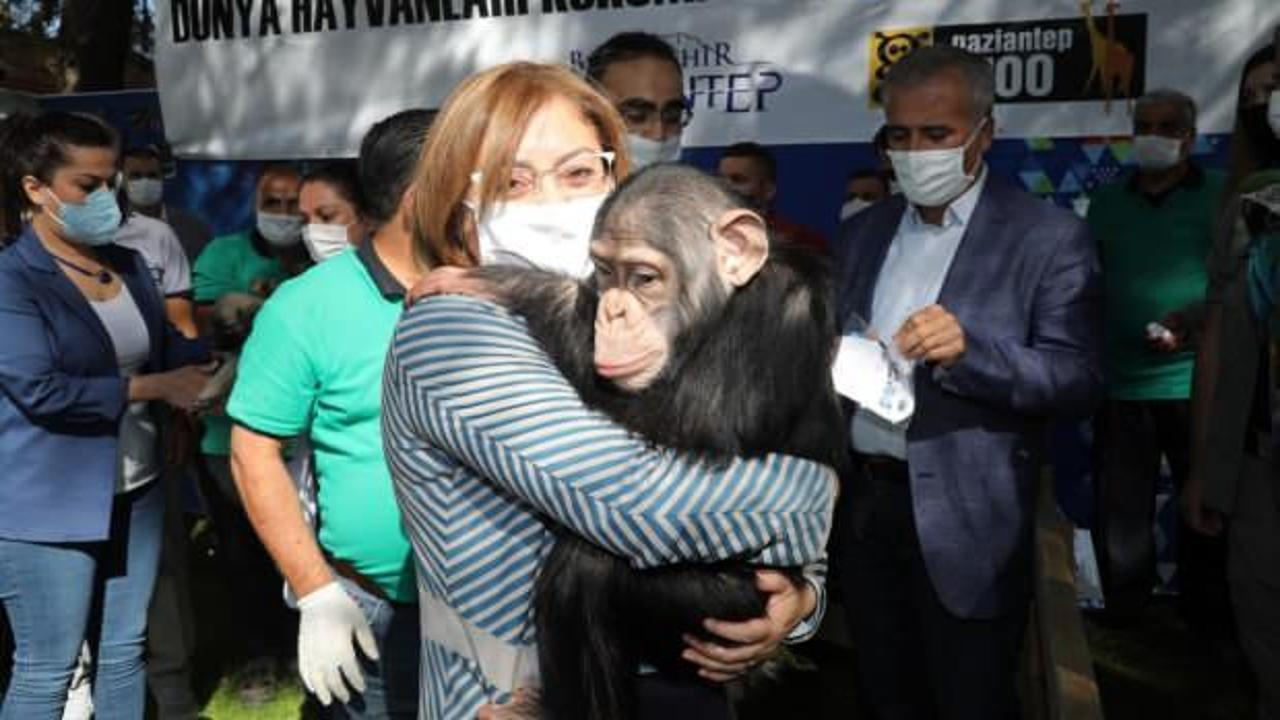 Büyükşehir, dünya hayvanları koruma gününü kutladı