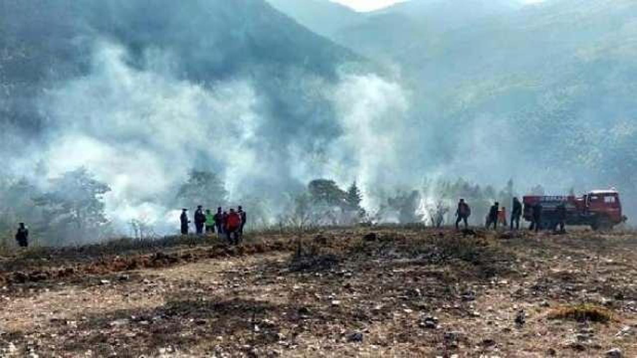 Bolu’da orman yangını büyümeden söndürüldü 