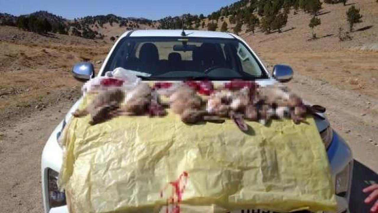 G&ouml;revlilere ateş a&ccedil;an avcılara 23 bin lira ceza