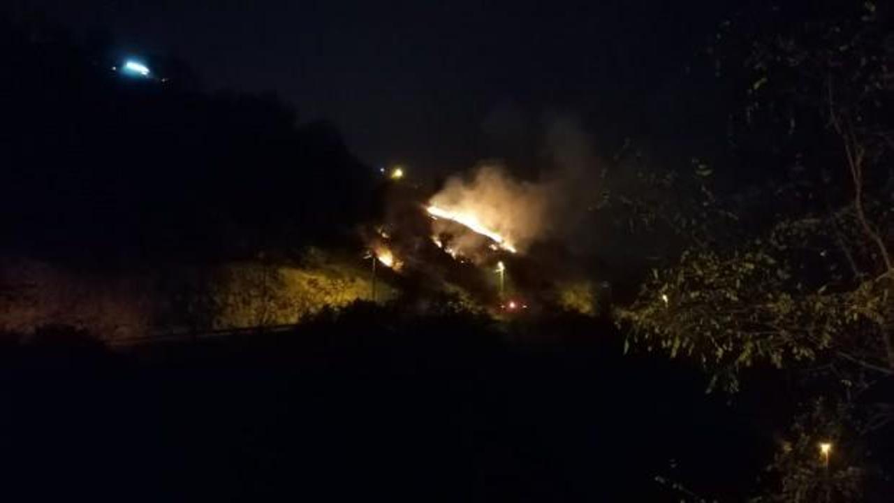 Trabzon'da son 48 saatte 35 farklı noktada yangın!