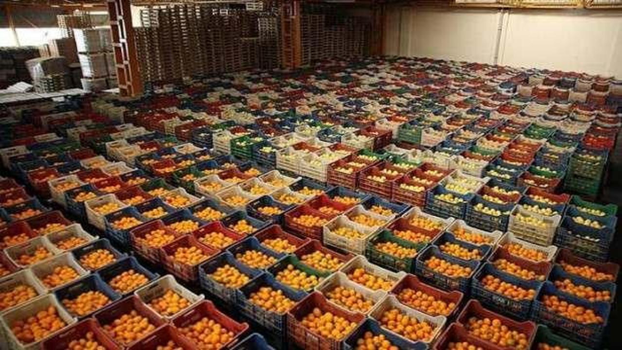 Türkiye'nin yaş meyve ve sebze ihracatında artış