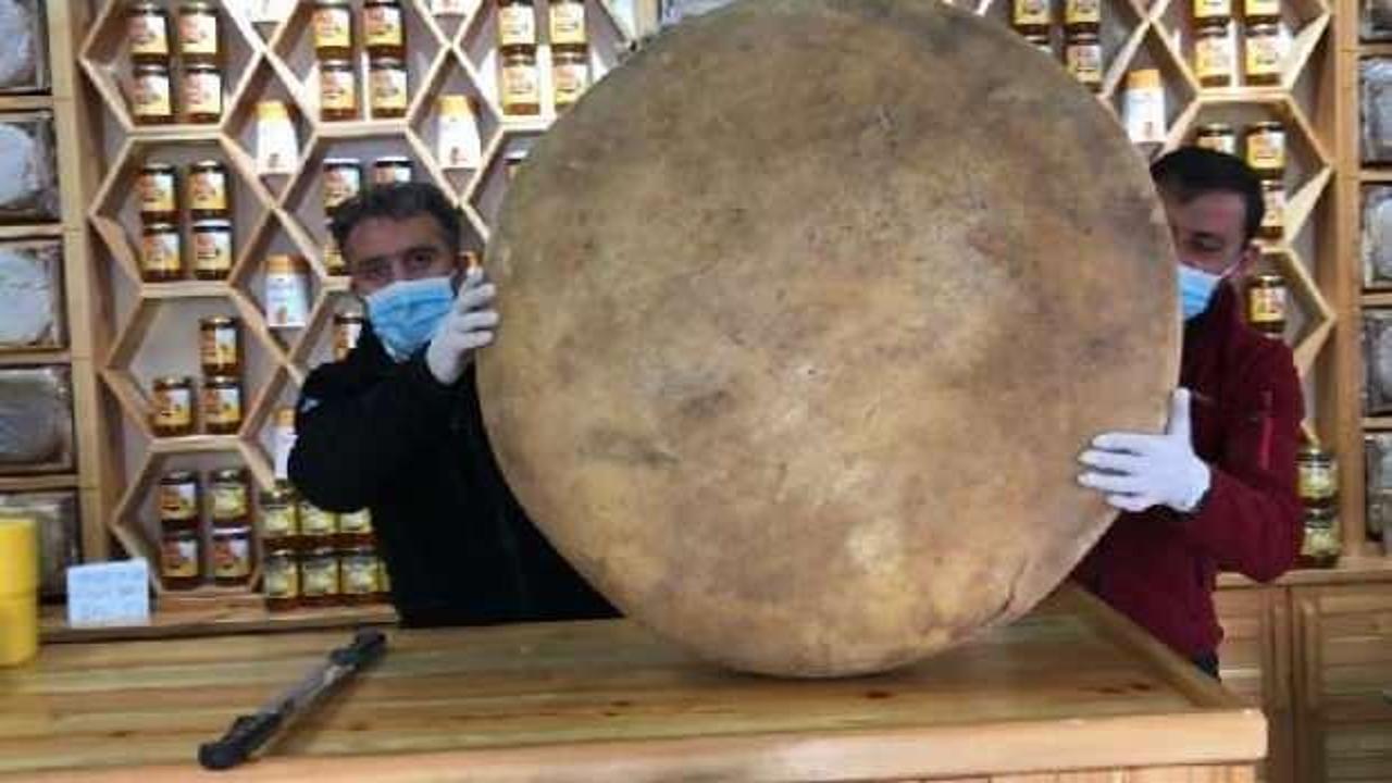 Dev gravyer peyniri şaşırttı