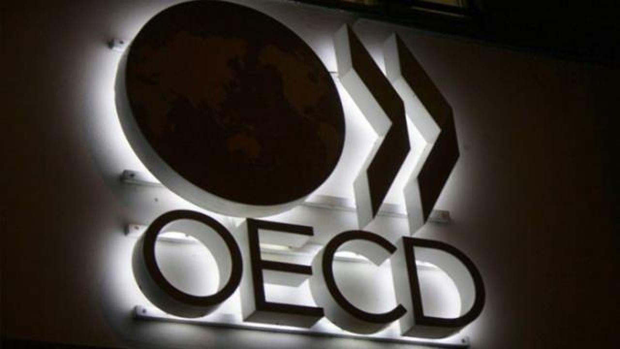 OECD açıkladı! Küresel GSYH'nin yüzde 1'i kaybolabilir