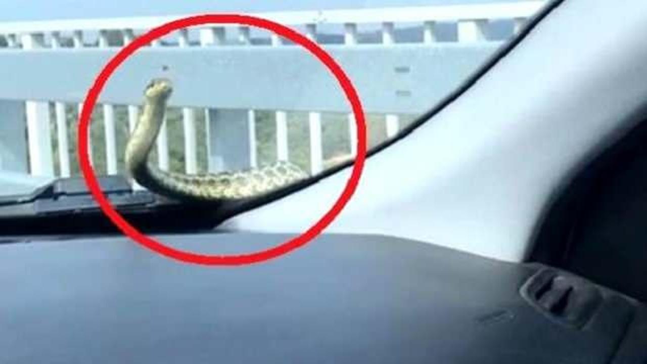 Seyir halindeyken otomobilin kaputundan çıkıp kaybolan yılan 3 gün sonra çıkarıldı
