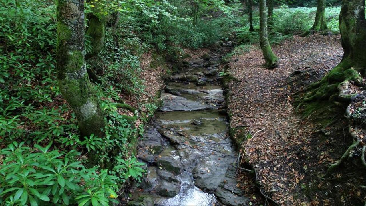 Sonbaharın en güzel adresleri: Zonguldak kent ormanı