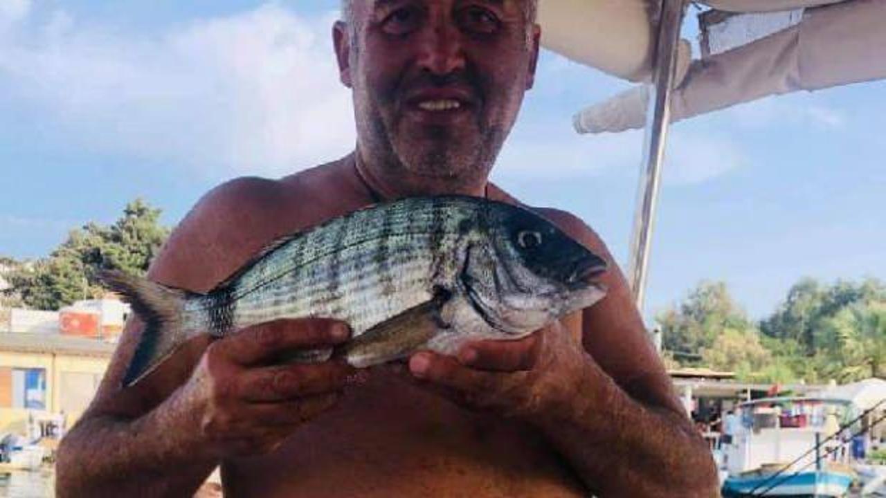 Bodrum'da amatör balıkçı, 6 kiloluk 'balon balığı' yakaladı