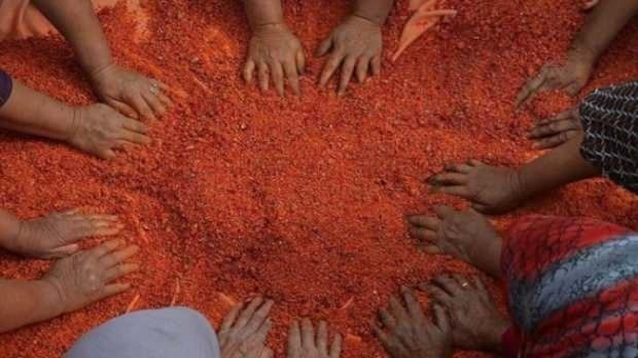 Demirci tarhanası'nın sırrı 20 &ccedil;eşit meyve ve sebzede