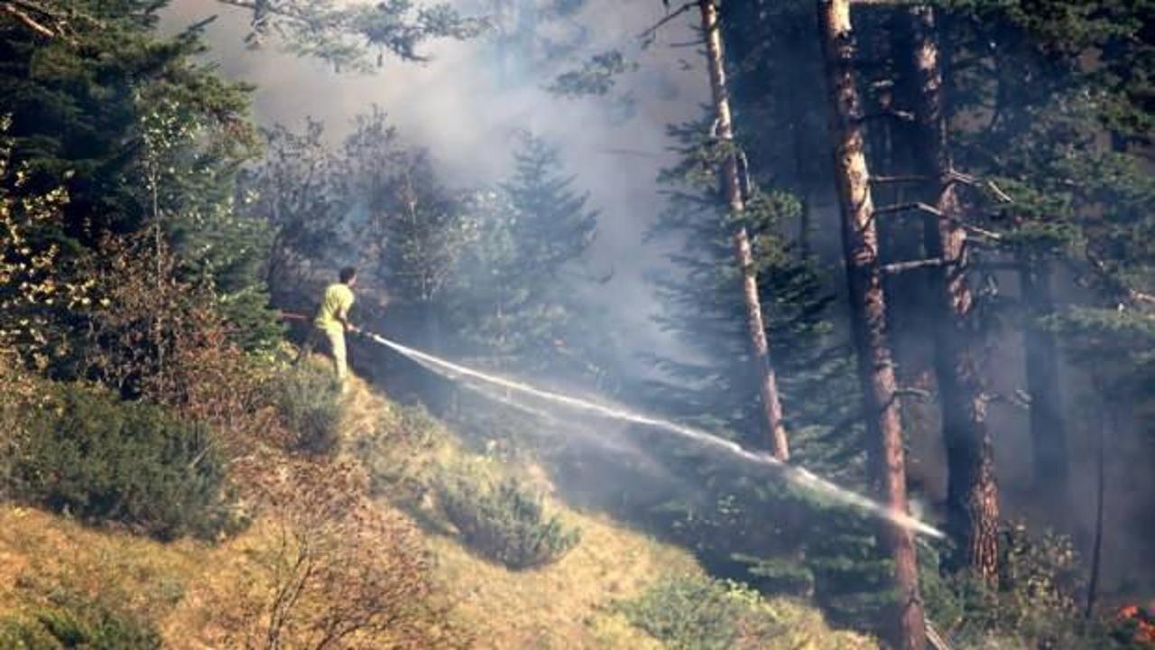 Kastamonu'daki yangın 4 gündür söndürülemiyor
