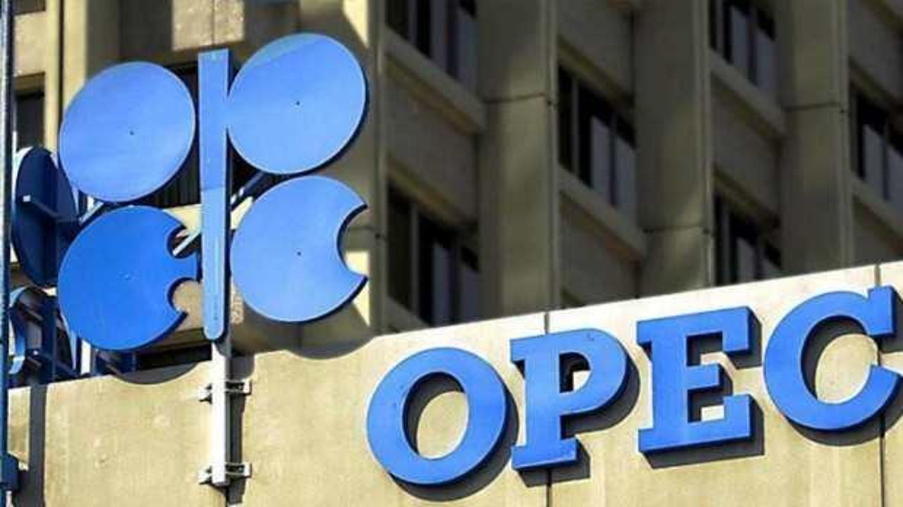 OPEC'in petrol hedefi 40 dolar