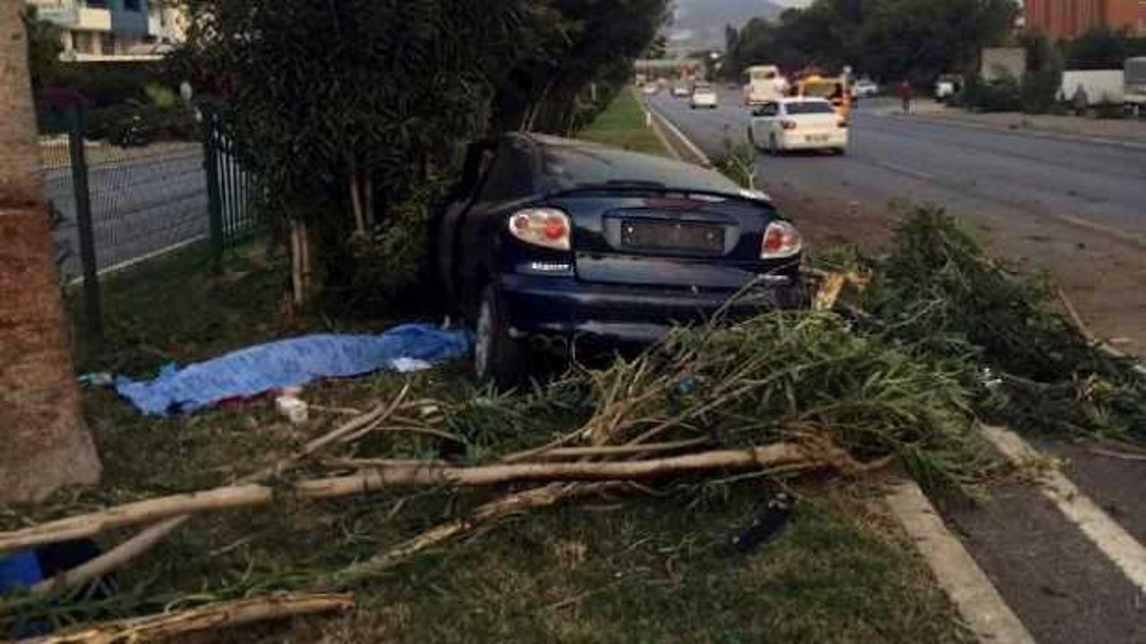 Rus turist, otostop yaparak bindiği otomobilin refüjdeki ağaca çarpmasıyla öldü
