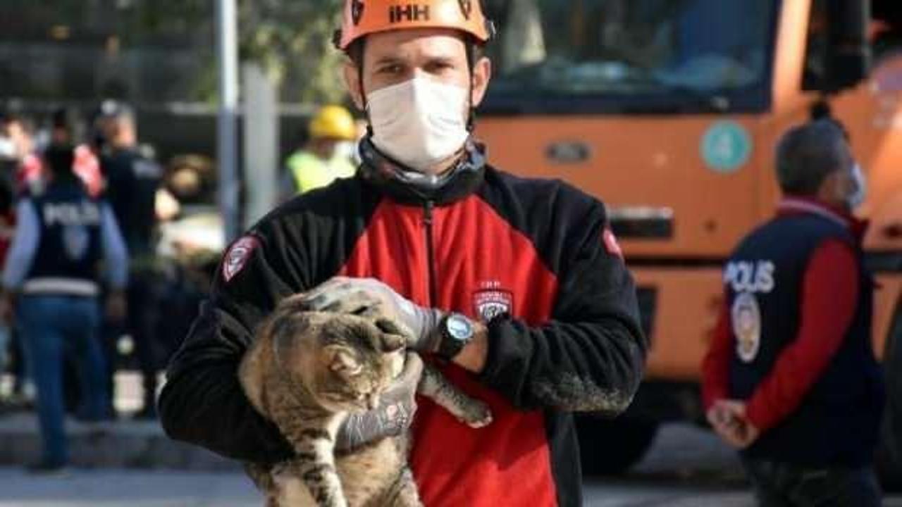 Enkazdan, 48 saat sonra kedi kurtarıldı