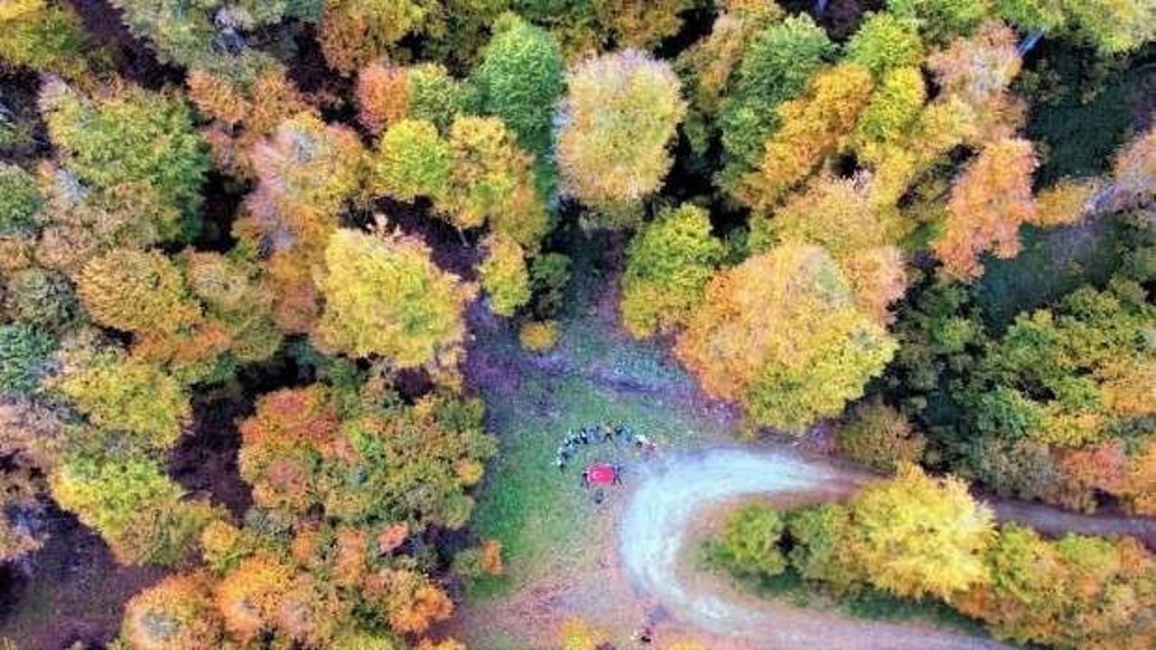 Sonbahar renklerine b&uuml;r&uuml;nen T&uuml;rkmen Dağı mest etti