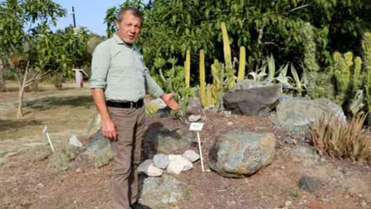 Botanik bah&ccedil;esindeki kakt&uuml;sleri &ccedil;aldılar