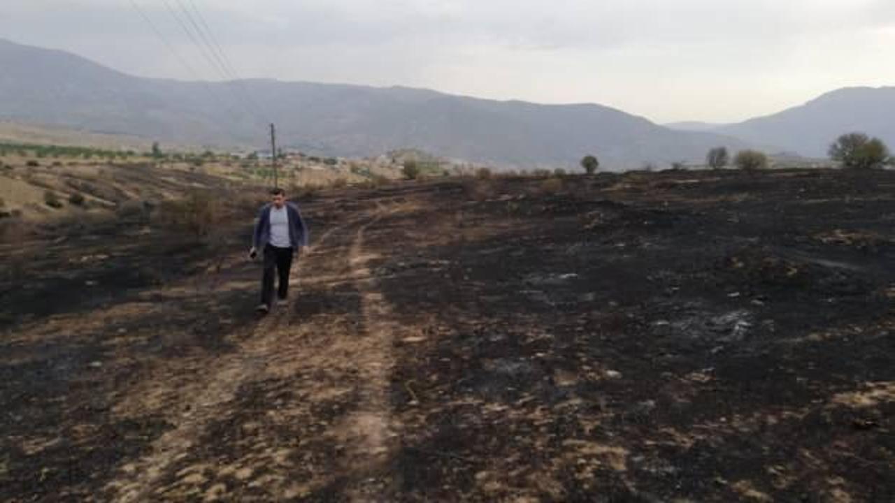 Elazığ'daki yangında 500 dönüm alan zarar gördü, binlerce arı öldü