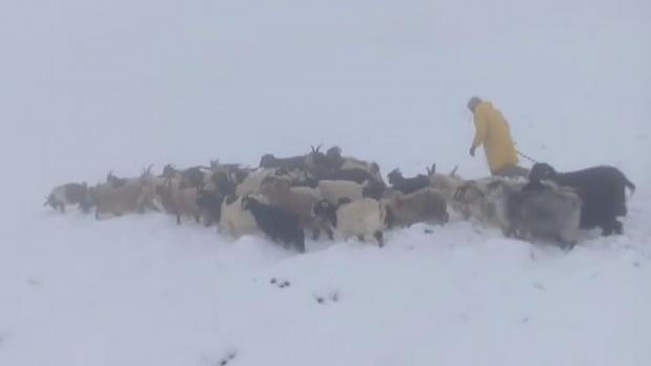 Kar yağışı çobanları hazırlıksız yakaladı