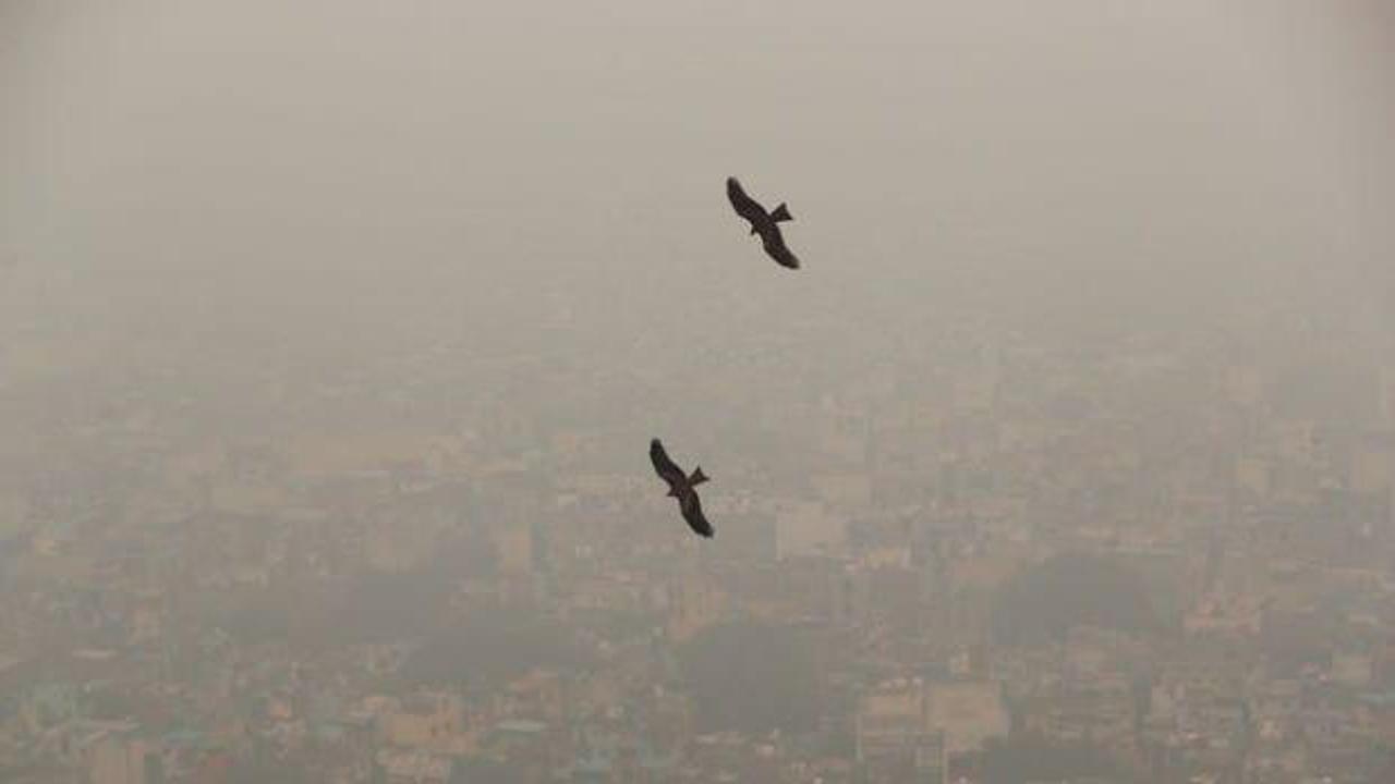 Yeni Delhi'de hava kirliliği "üst sınır"ın 14 kat üzerine çıktı