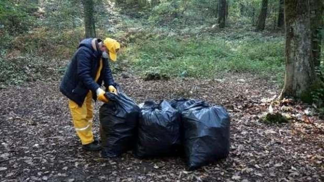 Belgrad Ormanı'nda 22 ton &ccedil;&ouml;p toplandı