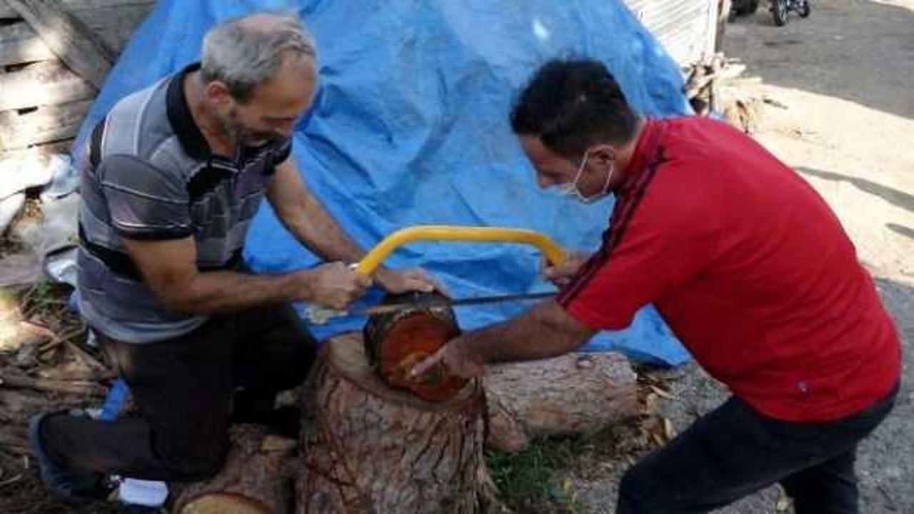 Kesilen ağa&ccedil;taki fig&uuml;r şaşkına &ccedil;evirdi