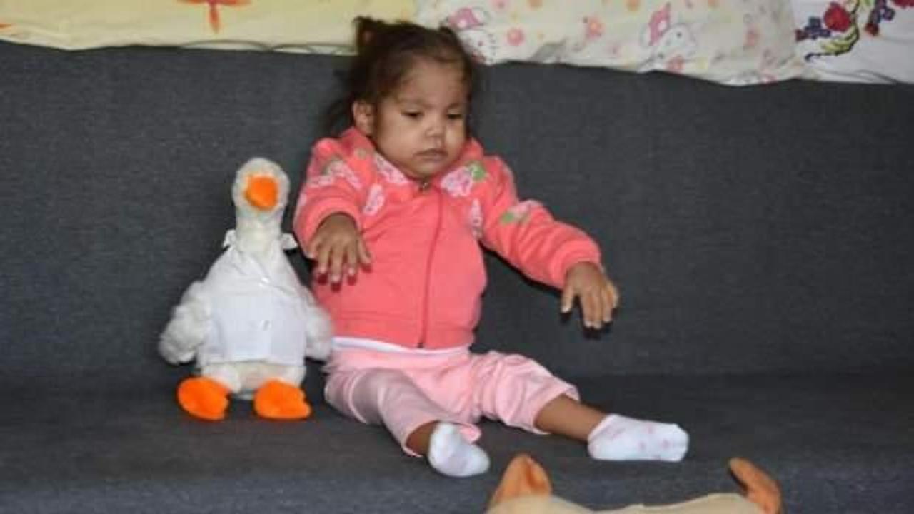 Minik Buse, kadavradan nakille hayata tutundu