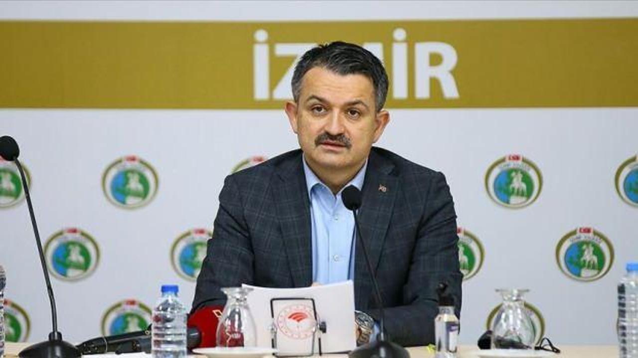 Pakdemirli: İzmir'deki depremden etkilenenlere 60 milyon liranın üzerinde ödeme yapıldı