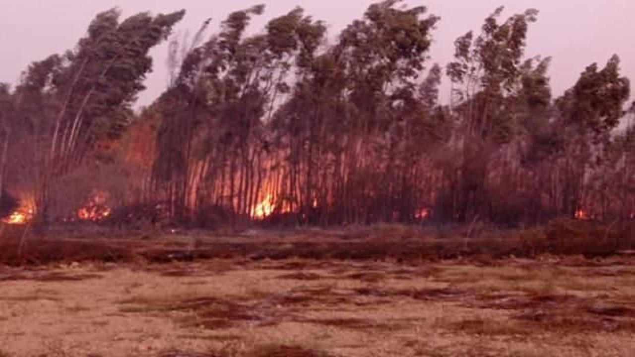 Sakin Kent Akyaka'da sazlık alanda yangın