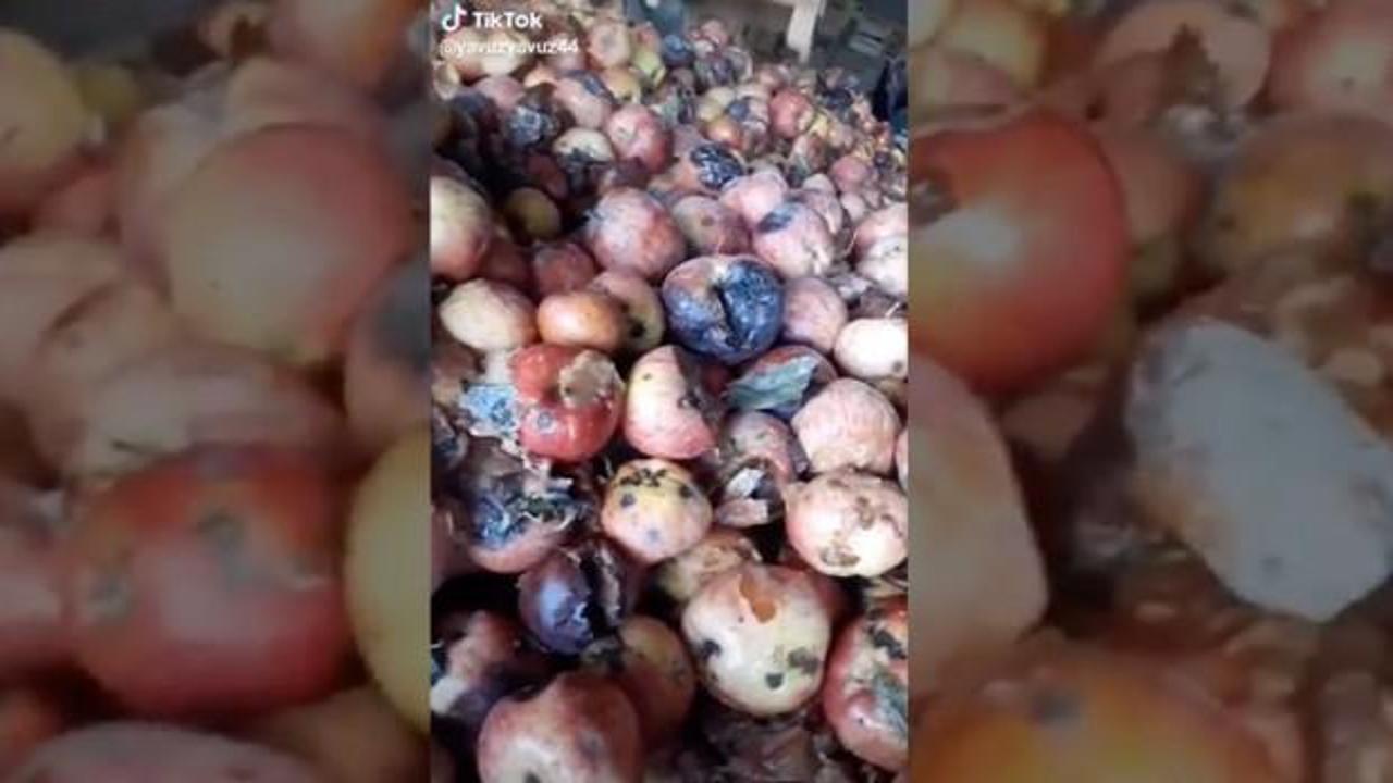 Tarım ve Orman Bakanlığından "&ccedil;&uuml;r&uuml;k elma" videosuna inceleme