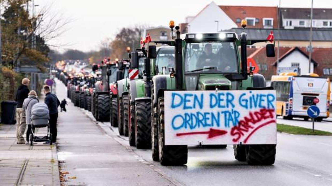 Danimarka'da vizon tartışması büyüyor: Çiftçiler sokakta