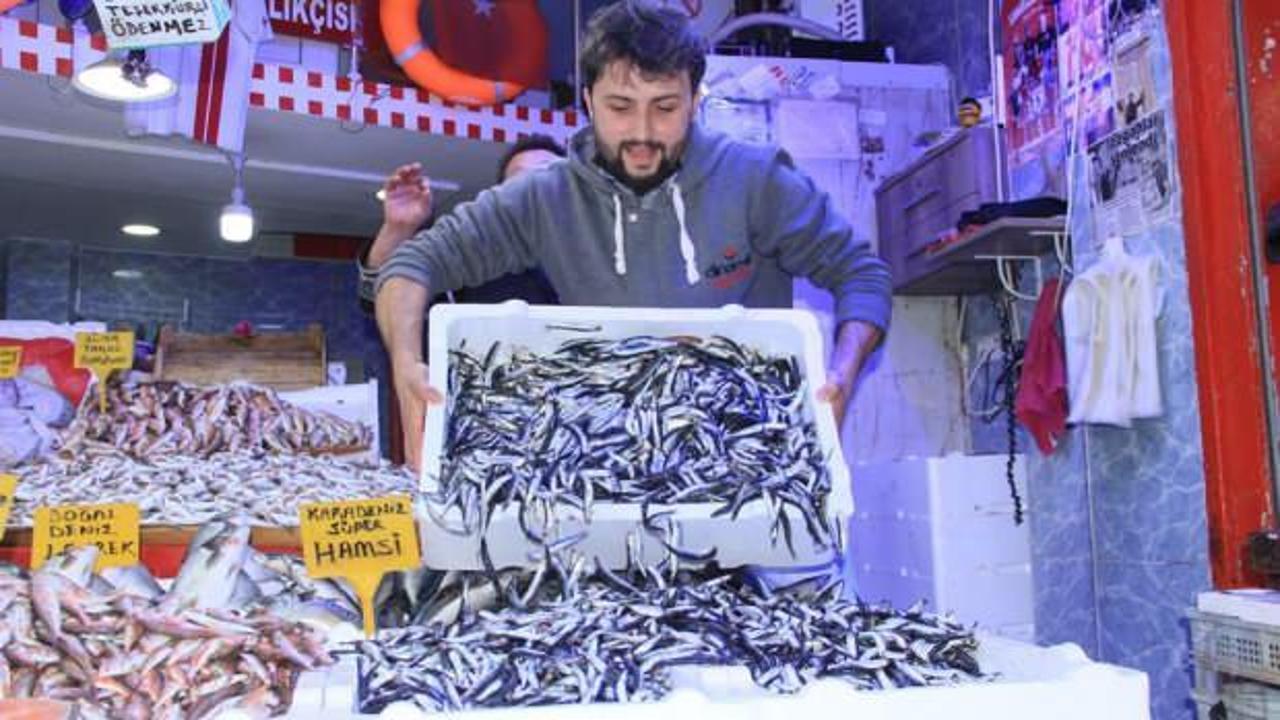 Fiyatı düşen hamsi tezgahları şenlendirdi!
