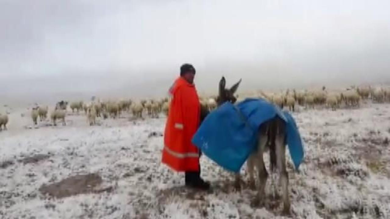 Koyunları otlatırken kar yağışına yakalandılar
