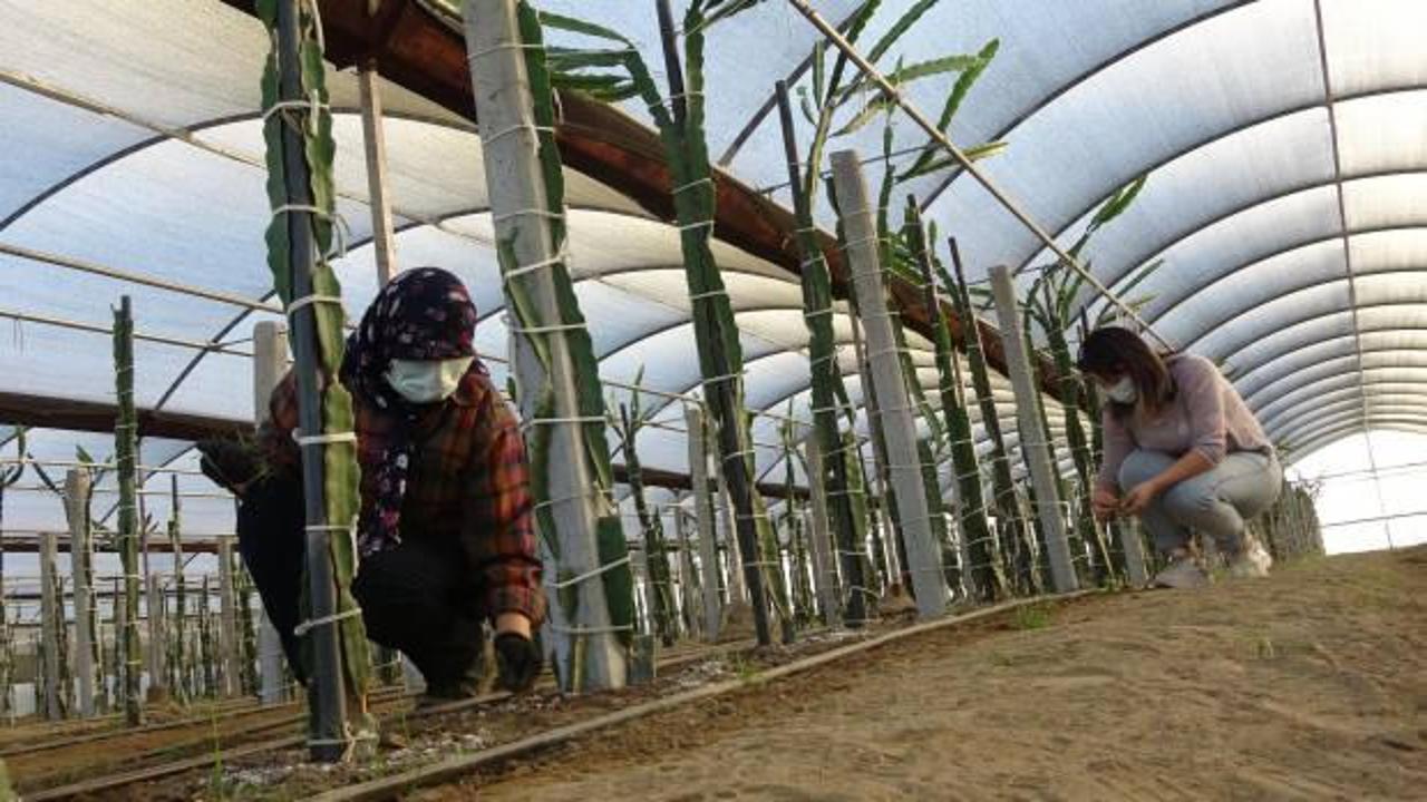 Sinemayı bıraktı, annesiyle bu işe girdi