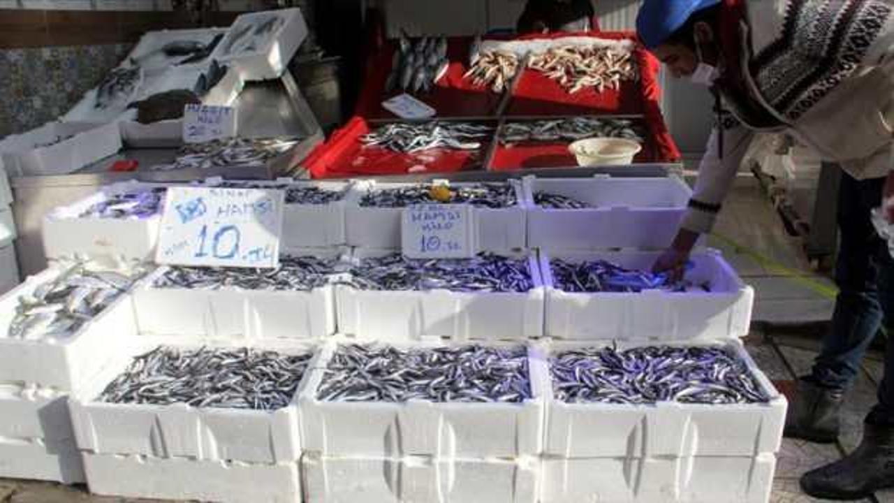 Sinop açıklarındaki hamsi bolluğu balıkçıların yüzünü güldürüyor