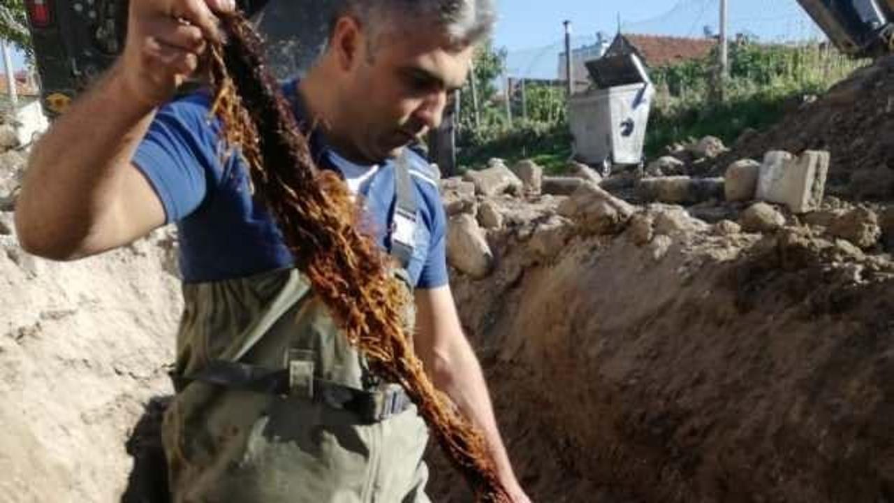 Suların az akmasının sebebi kunduz &ccedil;ıktı