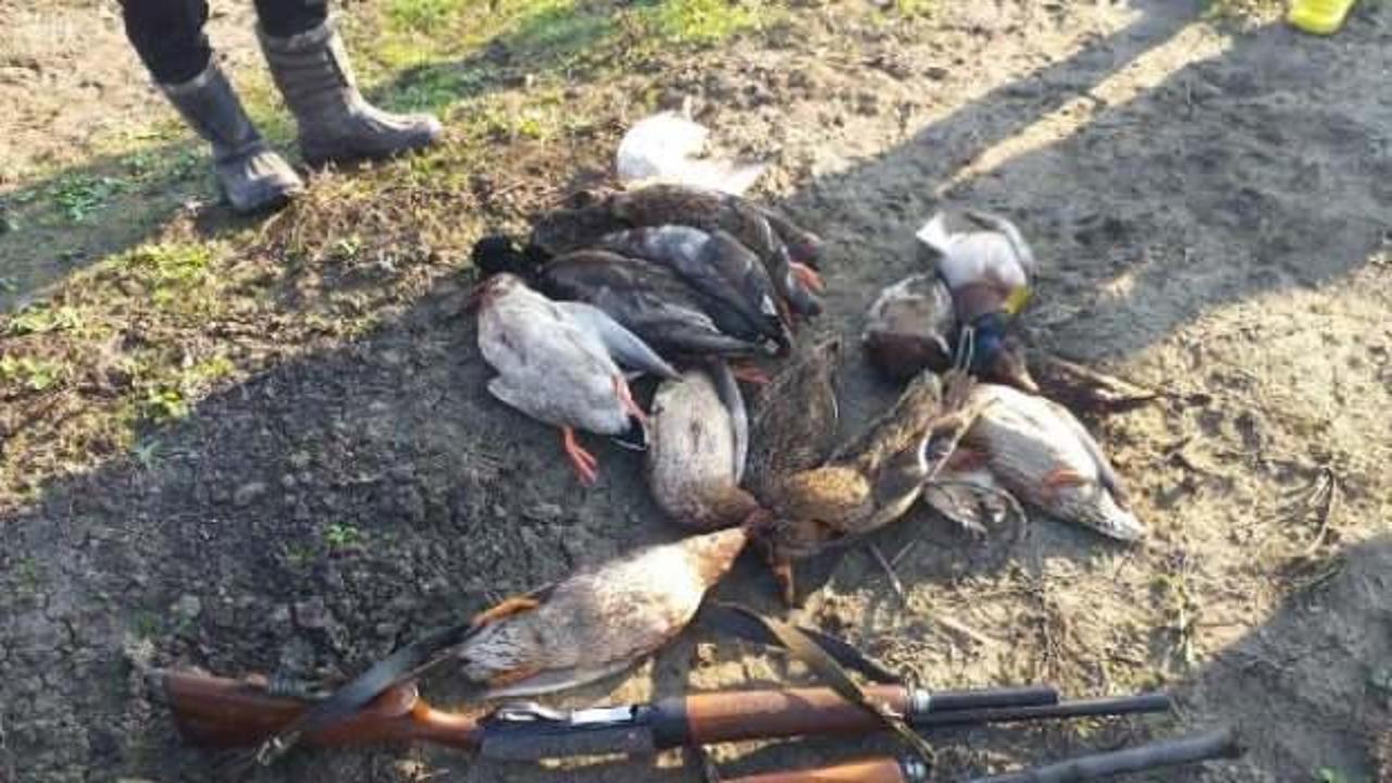 Kuş cennetinde ka&ccedil;ak &ouml;rdek avlayan coğrafya &ouml;ğretmeni yakalandı