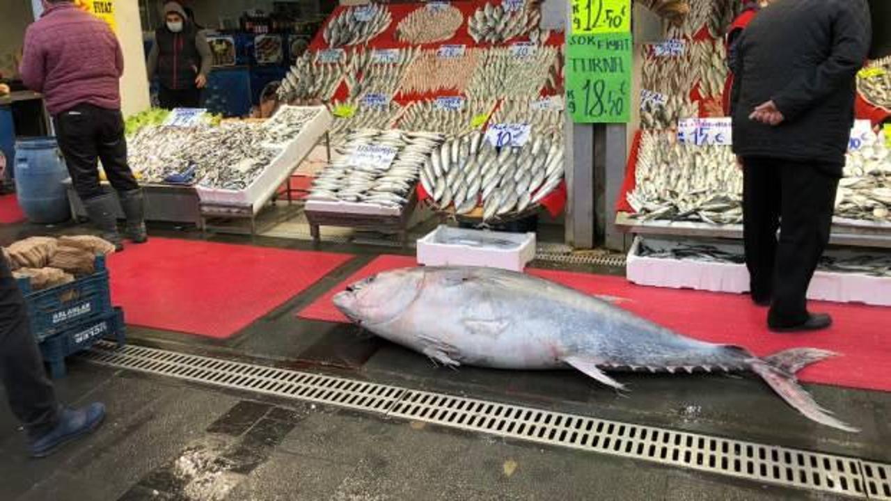 185 kiloluk orkinosu g&ouml;ren Kayserililer hayrete d&uuml;şt&uuml;