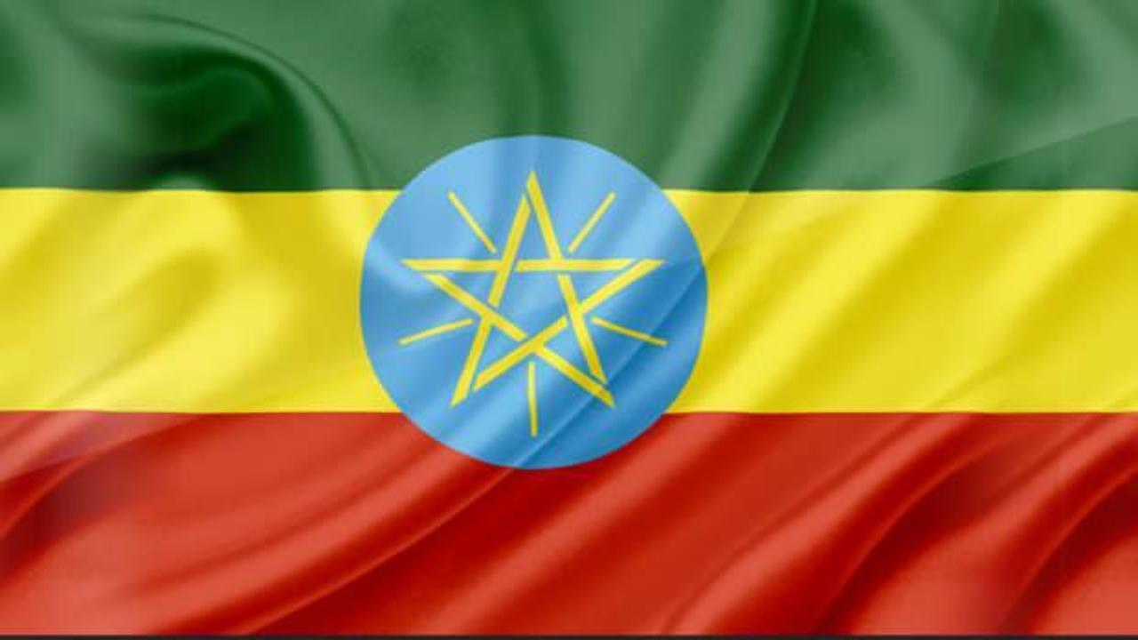 Etiyopya, BM çalışanlarına ateş açtığını kabul etti