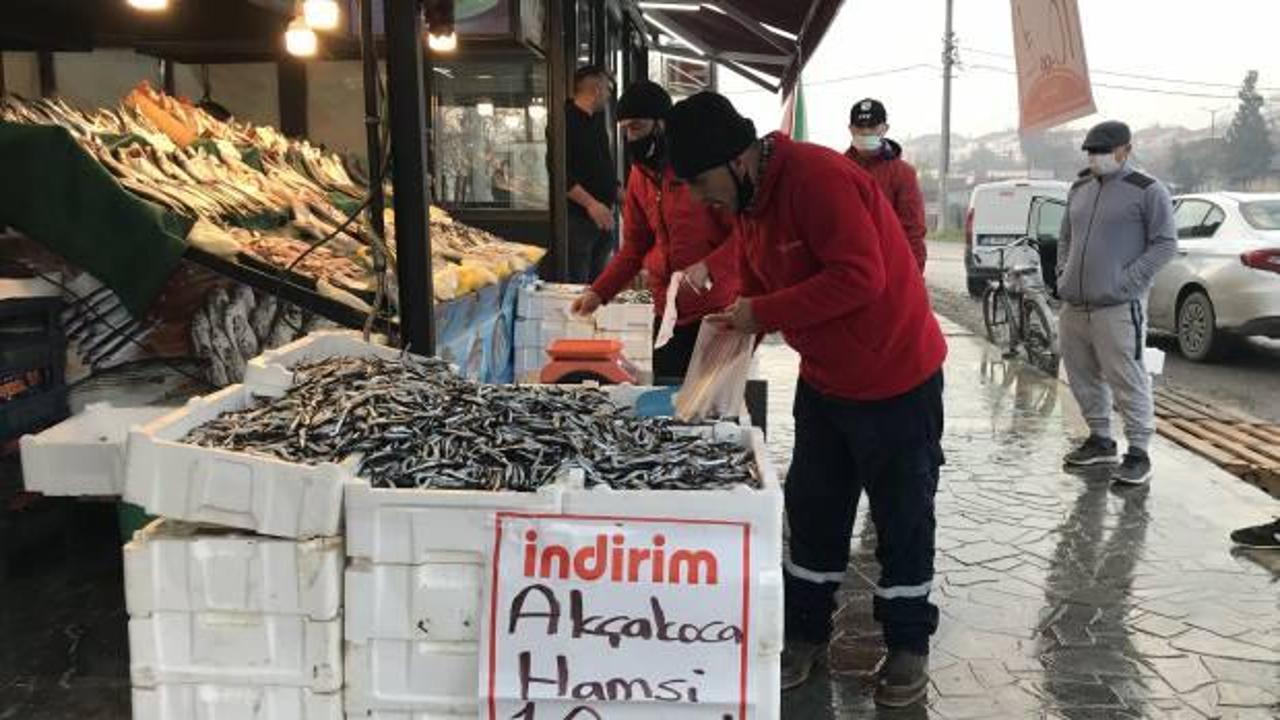 Hamsi balıkçıların kuru fasulyesi! Bolluk yaşanıyor