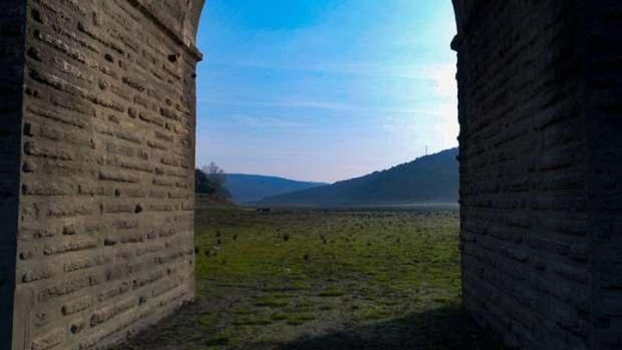 Tedirgin eden g&ouml;r&uuml;nt&uuml;: İstanbul'da 10 yıldır b&ouml;ylesi g&ouml;r&uuml;lmedi