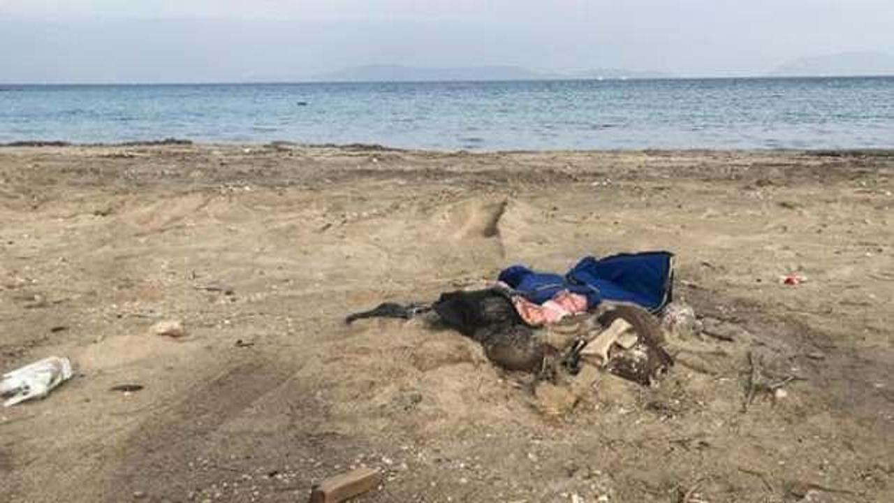 Mısır sahilinde 7 göçmenin cansız bedenine ulaşıldı