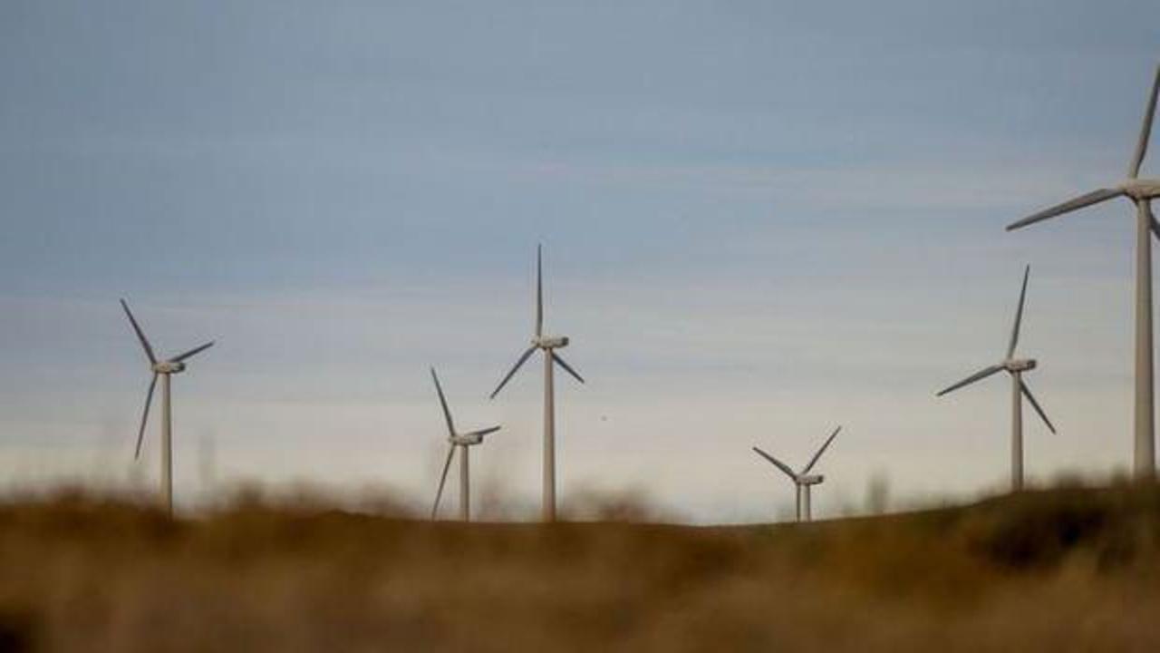TÜREB'ten Türkiye'de rüzgarın büyümesi için her yıl bin megavat kurulum gerekli