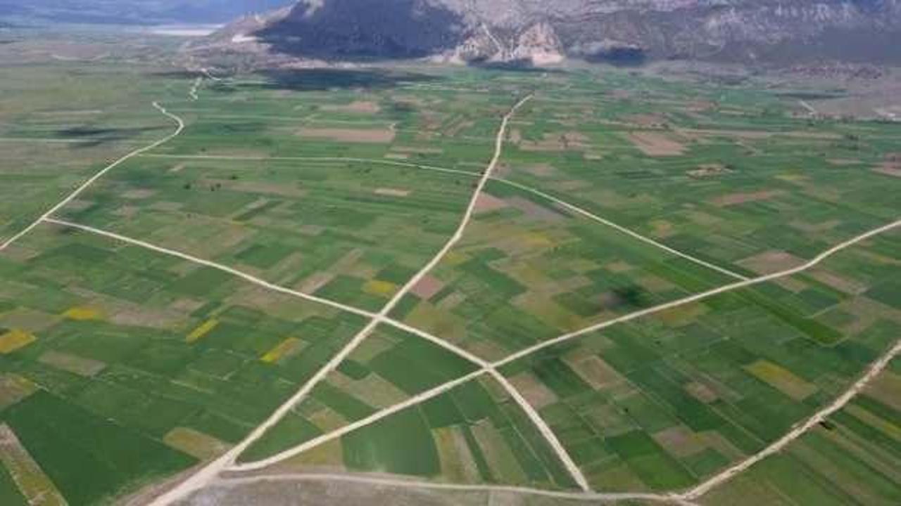 DSİ, 4 ilde 30 bin hektar alanda arazi toplulaştırması yaptı