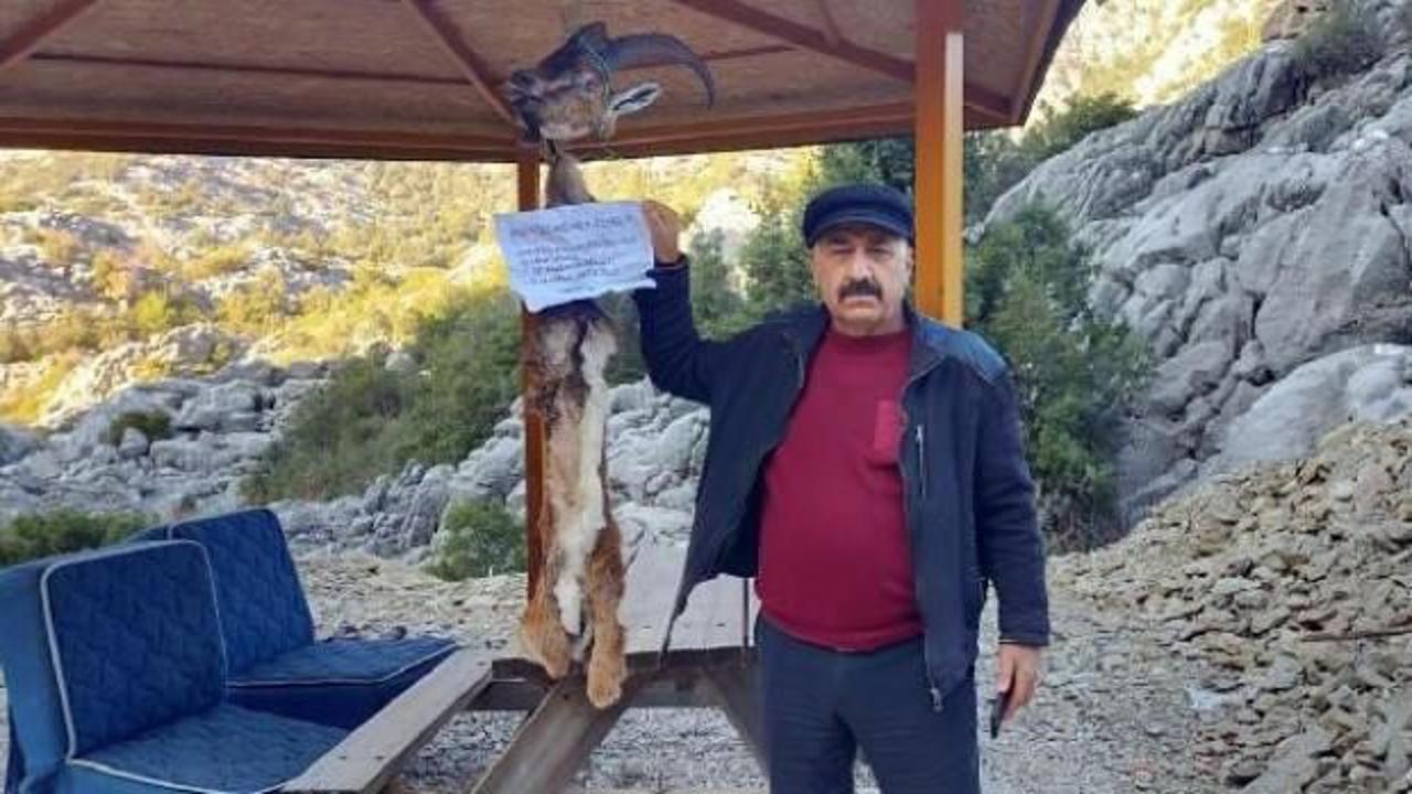 Dağ ke&ccedil;isini avlayıp muhtarı b&ouml;yle tehdit ettiler!